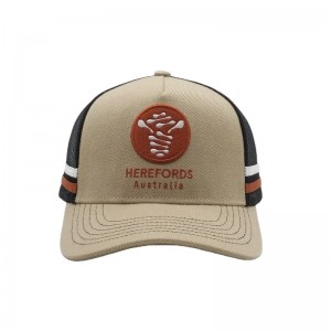 Brugerdefinerede højprofiliske australske landbiler, 2 sidestripemesh trucker cap, stribet trucker ha